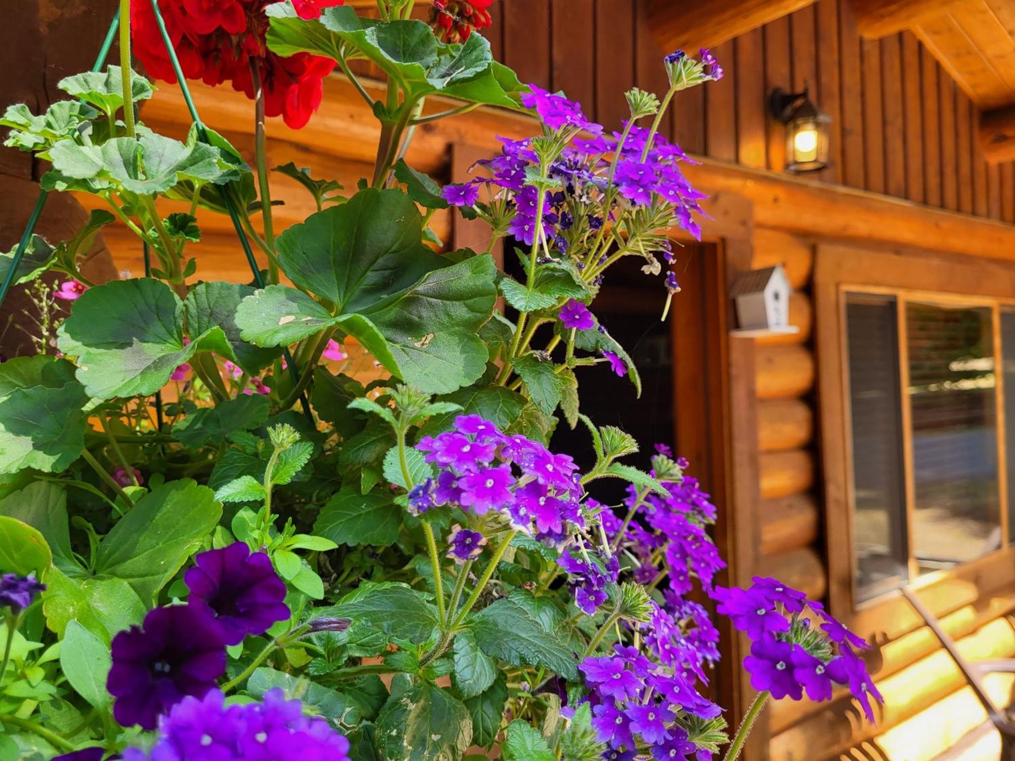Riverbend Cottage & Rv Resort Parksville Exteriör bild